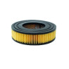 CARTUCHO FILTRO (FILTR. SURF. 0,42 M2)