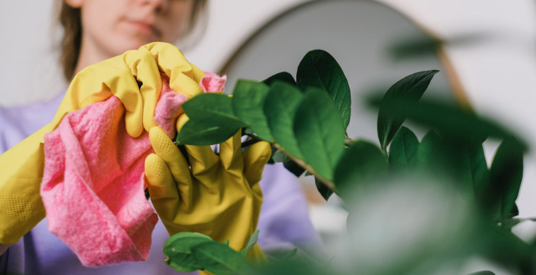 Cómo limpiar las plantas artificiales de casa
