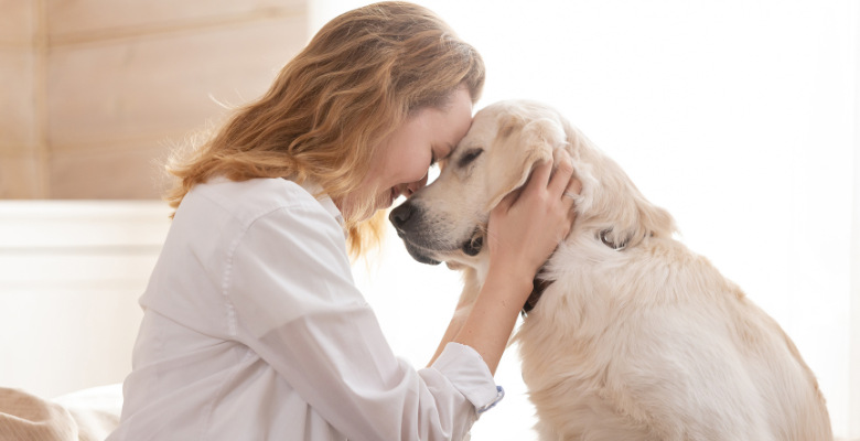 identificar los malos olores de mascotas en casa