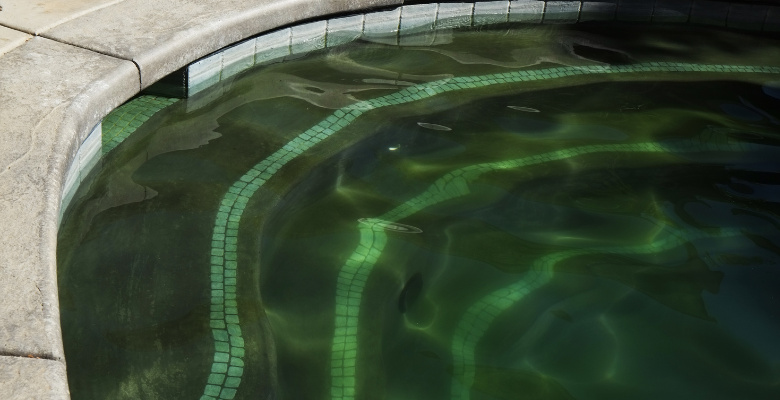 Aprende cómo controlar las algas y la arena en tu piscina, ya sea que cuentes con un sistema de filtración o no.