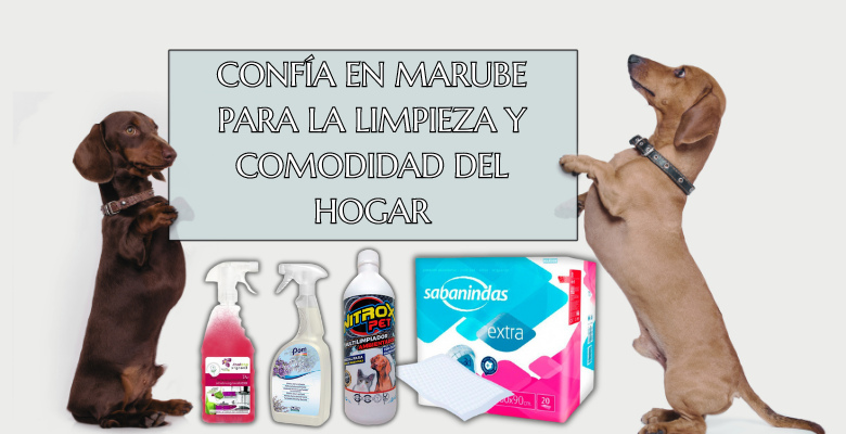 mantén tu hogar libre de olores de mascotas