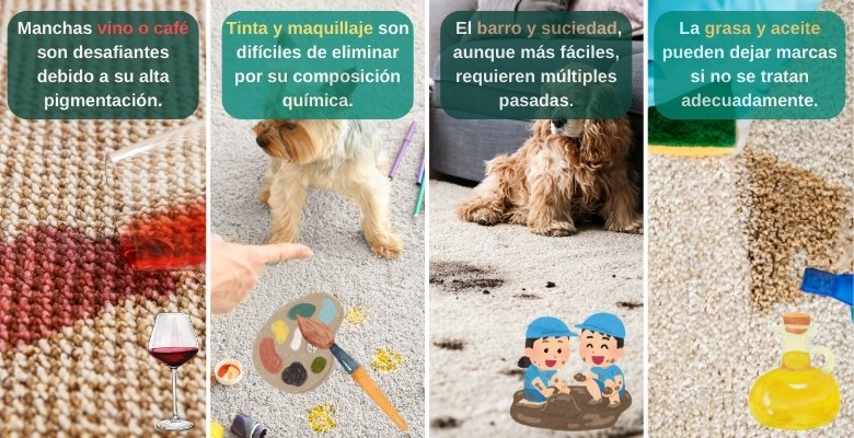 Tipos de manchas comunes en alfombras y tapicerías