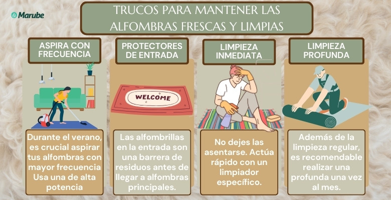 infografía con trucos para mantener las alfombras siempre limpias