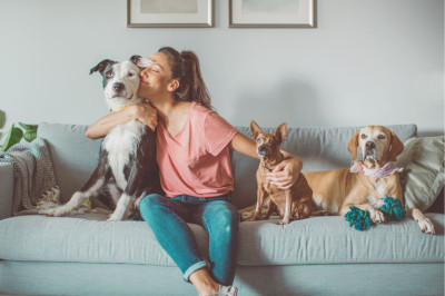 Cómo eliminar olores de mascotas en el hogar: trucos prácticos